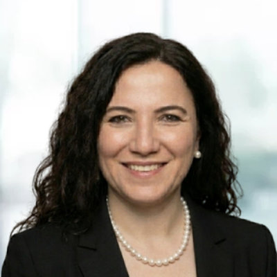 Consultant Partner